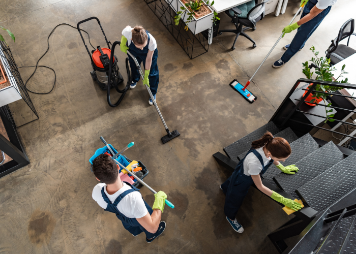 diseño sin título (33)